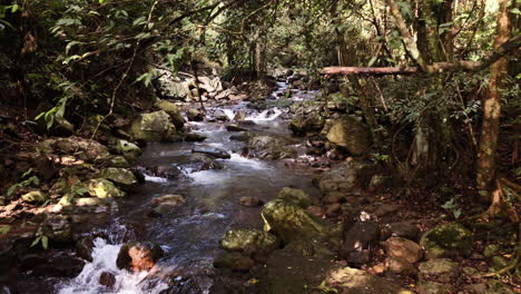 Pan-shot-fast-flowing-creek,-Natural-Bridge-Waterfall-Springbrook,-Queensland