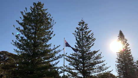 Low-shot-of-Australian-flag-waving-in-the-wind-amongst-tall-trees-with-an-orange-glowing-sun,-Toowoomba-Queensland
