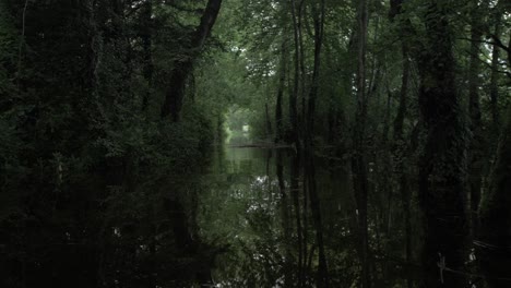 Floating-through-river-surrounded-by-dark-dense-wilderness