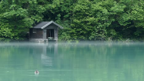 Lapso-De-Tiempo-De-Niebla-Misteriosa-Alrededor-De-Un-Pequeño-Cobertizo-Para-Botes-En-Un-Lago-En-El-Bosque