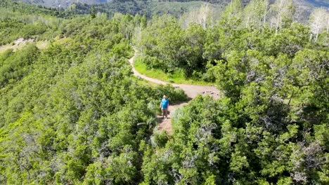 Man-standing-on-a-cliff-along-a-hiking-trail-in-a-mountain-forest-looking-at-the-scenic-view---aerial-pull-back