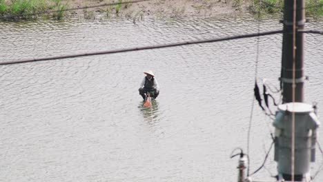 Hombre-Japonés-Pescando-Peces-Usando-Una-Caña-De-Pescar-En-Medio-Del-Río-En-Tokio,-Japón