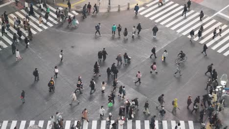 Japoneses-Cruzando-En-Los-Carriles-Peatonales-En-El-Cruce-De-Shibuya,-Tokio,-Japón---Toma-Lenta-De-Arriba-Hacia-Abajo