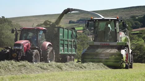 Picking-up-grass-for-silage-winter-feed---with-substantial-contractors-machinery
