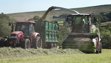 Aufsammeln-Von-Gras-Für-Silage-Winterfutter---Mit-Umfangreichen-Maschinen-Von-Lohnunternehmern