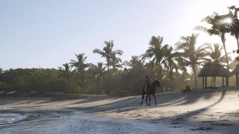 Fijian-on-a-horse-riding-on-paradise-beach-with-bright-sun-shining-through-trees