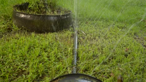 Hose-leaky-watering-system,-sprinkler-watering-grass-lawn-and-flower-pots