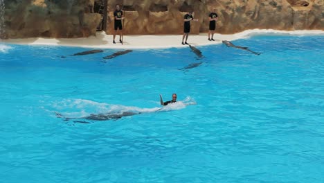 Delfin-Schiebt-Trainer-Während-Der-Delfinshow-Im-Loro-Parque,-Teneriffa,-Mit-Seiner-Nase-Durch-Das-Wasser