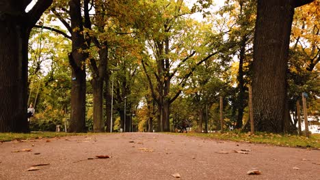 Tiro-De-ángulo-Bajo-En-El-Camino-Del-Parque-De-Otoño-Dorado-Mientras-La-Niña-Se-Balancea-En-Los-Columpios