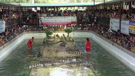 Touristen,-Die-Die-Krokodilshow-Auf-Der-Krokodilfarm-Und-Im-Zoo-Von-Samut-Prakan-In-Samut-Prakan,-Thailand,-Beobachten