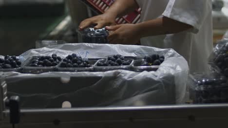 Close-up-shot-of-a-worker-closing-a-package-of-grapes-in-a-food-processing-facility