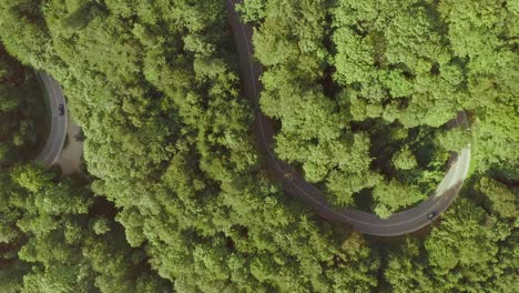 Hidden-road---aerial-view-at-a-curvy-street-inside-a-forest,-top-shot-view-locked