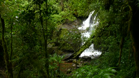 Beautiful-waterfall-in-tropical-rain-forest,-surrounded-by-lush-green-vegetation
