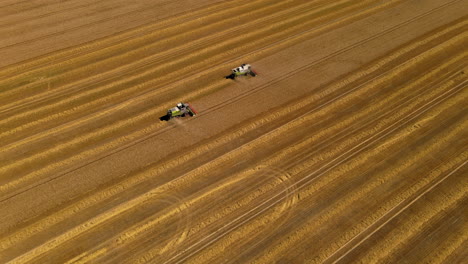 Aerial-View-Of-Tractors-Harvesting-Wheat-On-The-Golden-Field-In-Puck,-Poland---ascending-drone-shot