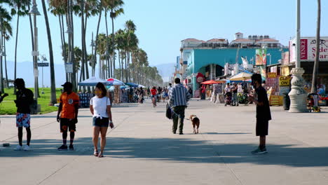 Fußgänger,-Die-Am-Sonnigen-Los-Angeles-tag-Die-Venedig-promenade-Hinunterlaufen-Und-Skaten