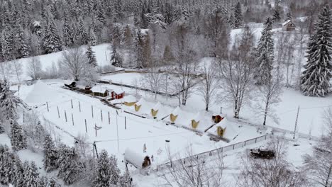 Aerial-view-over-trees-and-the-Kalevala-Finnish-village,-on-a-cloudy-winter-day,-in-Poland---rising,-drone-shot