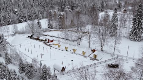 Vista-Aérea-Sobre-Los-árboles-Y-El-Pueblo-Finlandés-De-Kalevala,-En-Un-Día-Nublado-De-Invierno,-En-Polonia---Aumento,-Disparo-De-Drones