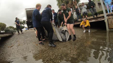 manatee-rescue-team-successfully-returns-rehabilitated-animal-into-the-water-to-watch-it-swim-away