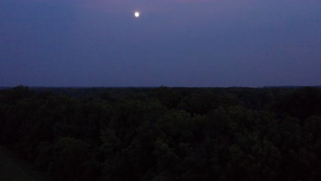 Silhouetted-trees-sit-beneath-bright-full-moon-in-the-night-sky,-drone-aerial