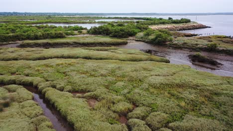 Marshes-of-Domaine-de-Graveyron-nature-preserve-at-eastern-shore-of-Arcachon-bay-France,-Aerial-flyover-view