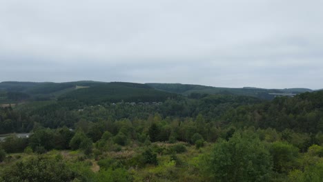 Luftaufnahmen-Von-Wald-Und-Hügeln