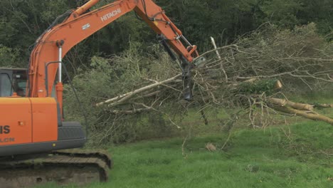 Accionamientos-De-Excavadoras-Que-Transportan-Una-Gran-Carga-De-árboles-Con-Cucharón-Y-Pulgar-Hidráulico