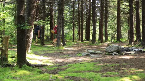 Un-Hombre-Y-Una-Mujer-Caminan-Por-El-Sendero-Huckleberry,-Ubicado-Dentro-Del-área-Recreativa-Nacional-Spruce-Knob-seneca-Rocks-En-Virginia-Occidental