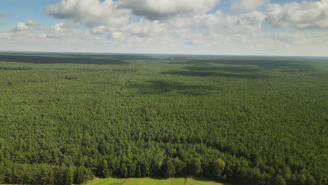 Paisaje-Nuboso-Sobre-El-Denso-Paisaje-Forestal-De-árboles-Cerca-Del-Pueblo-De-Kowalskie-Błota,-Distrito-De-Gmina-Cekcyn-En-Polonia