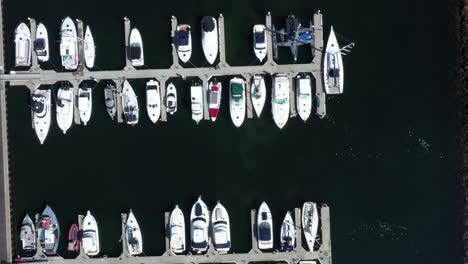 AERIAL-Directly-Above-Luxury-Yachts-Moored-In-A-Coastal-Marina