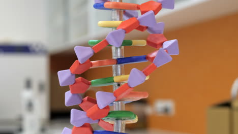 Modell-Der-Doppelhelix-DNA-Lehrhilfe-In-Einem-Naturwissenschaftlichen-Klassenzimmer,-Nahaufnahme
