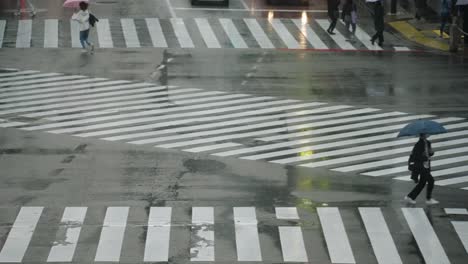 Personas-Con-Paraguas-Corriendo-En-El-Camino-Resbaladizo-De-Shibuya-Cruzando-Con-Vehículos-Conduciendo-En-Un-Día-Lluvioso-En-Tokio,-Japón