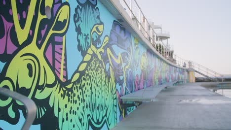 Graffiti-Walls-on-Public-Streets-of-New-South-Wales,-Sydney,-Australia