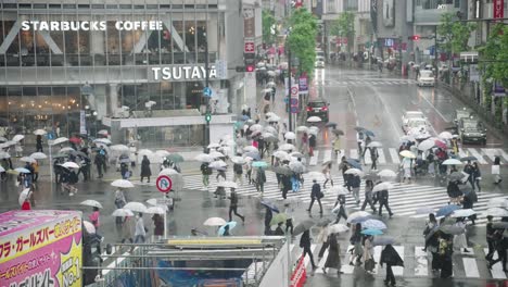 Multitud-De-Personas-Con-Paraguas-Caminando-Bajo-La-Lluvia-En-El-Cruce-De-Shibuya-En-Tokio---Primer-Plano,-Tiro-Estático