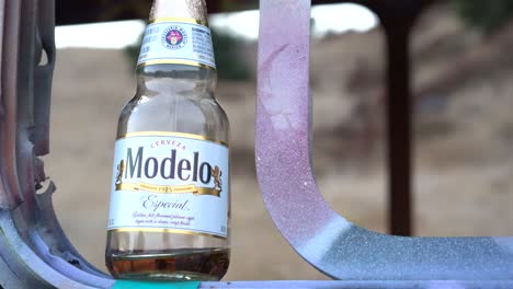 modelo-drink-4k-alcohol-hd