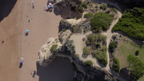 Aerial-top-down-view-through-Portimão-Coastline,-evergreen-fields-and-rock-formation-beach
