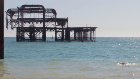 Nadando-Junto-Al-Muelle-Oeste-De-Brighton
