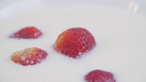 Ganze-Erdbeeren,-Die-In-Milch-Schwimmen