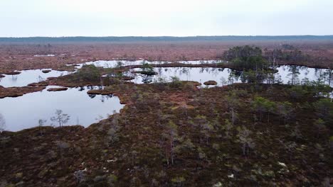 Aerial-birdseye-view-of-Dunika-peat-bog-with-small-ponds-in-overcast-autumn-day,-wide-drone-shot-moving-forward