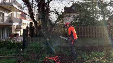 Professional-Male-Lumberjack-Cutting-Tree-Branches-In-Garden-With-Chainsaw