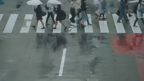 Japanische-Schulmädchen-Und-Andere-Menschen,-Die-An-Einem-Regnerischen-Tag-Mit-Aufgespannten-Regenschirmen-Die-Nasse-Straße-überqueren