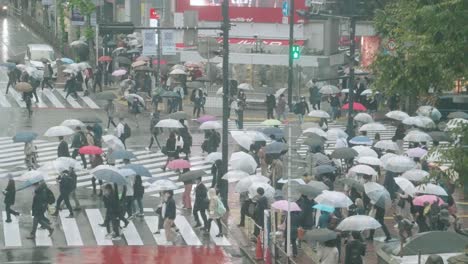 Asiaten-Mit-Regenschirmüberquerung-Bei-Shibuya-An-Einem-Regnerischen-Tag-In-Tokio,-Japan