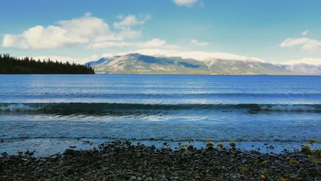 Scenic-view-of-lake-Atlin-with-white-peak-mountain-in-background