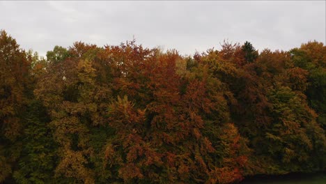 Unveiling-drone-shot-starting-behind-a-autumn-colored-tree-up-to-the-overview-at-the-alp-mountains-and-a-popular-bavarian-monastery-in-a-little-valley-at-fall