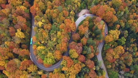 Traffic-in-an-autumn-colored-forest,-cars-and-a-bus-are-driving-along-a-serpentine-curved-street,-flying-forward-with-a-drone-over-a-beautiful-landscape