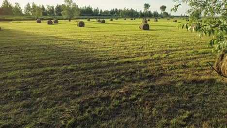 Hay-Bales-On-The-Open-Wide-Field-Landscape-During-Daytime-In-Countryside