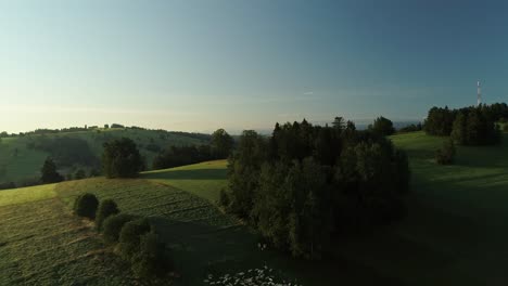 Rural-Landscape-With-Flock-Of-Sheep-Grazing-On-The-Hill---aerial-drone-shot