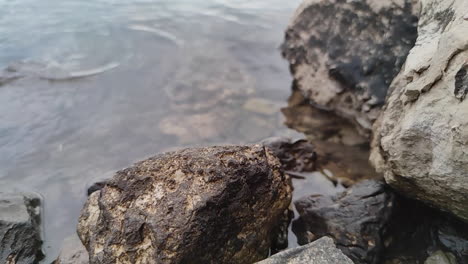 Black-river-rocks-exposed-during-the-low-tide--close-up-slowmo