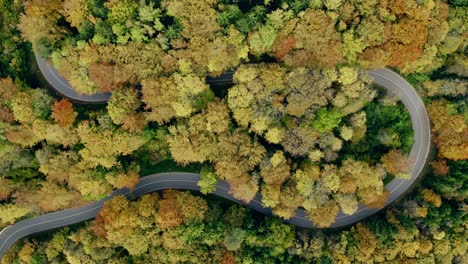 Vertikale-Kamerafahrt-Von-Einem-Herbstfarbenen-Wald-Bis-Zu-Einer-Kleinen-Stadt