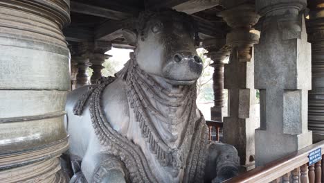 Vista-De-Impresionantes-Tallas-De-Piedra-Del-Siglo-XII-Y-Un-Solo-Toro-De-Piedra-En-Karnataka,-El-Templo-De-Hoysaleshwara