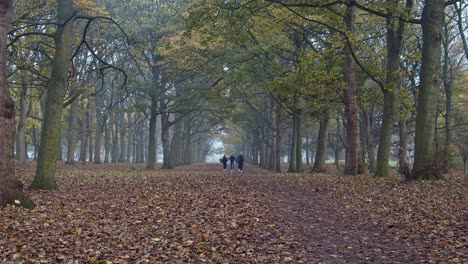 People-stroll-in-park-during-autumn-foliage-season